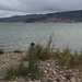 Checking out Lake Mead by wilkinscd