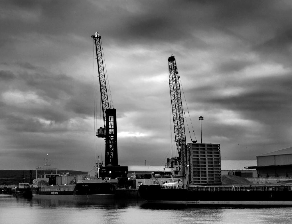 Cranes On Poole Quay by davidrobinson