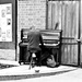 Street Busker Piano Style by phil_howcroft