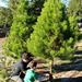Our Annual Family Christmas Tree Cutting by markandlinda