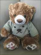 8th Sep 2015 - Teddy Bear
