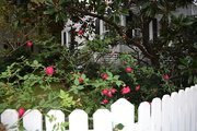 29th Nov 2015 - House and garden, Historic District, Charleston, SC