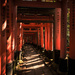 Fushimi Inari by loweygrace