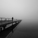 Foggy  by epcello