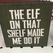 28th Nov 2015 - The elf made me...
