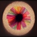 colour wheel. by jokristina