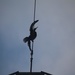 26 November 2015 Cormorant or trapeze artist on top of a pylon by lavenderhouse