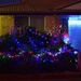 First Christmas Decorations in our Street. by happysnaps