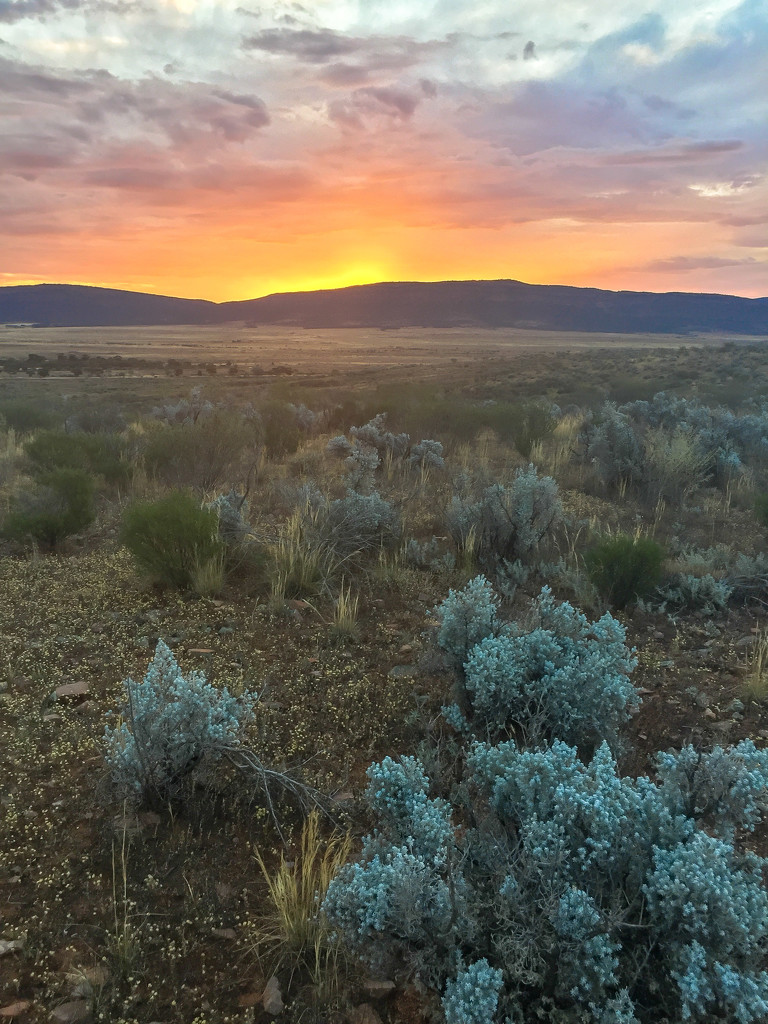 Outback Sunset by pusspup