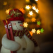 1st December 2015    - Dust off the Christmas Decs by pamknowler