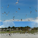 The Gull Runner by alophoto