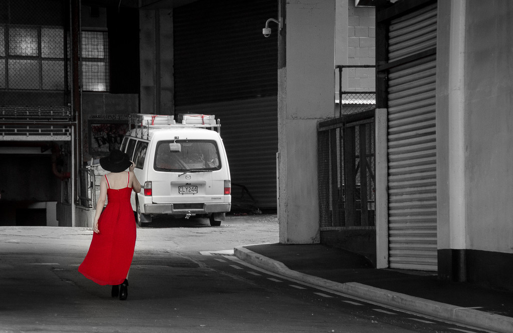 Lady in Red by yaorenliu
