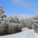 Frosty Road by harbie