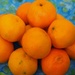 Oranges..... by anne2013