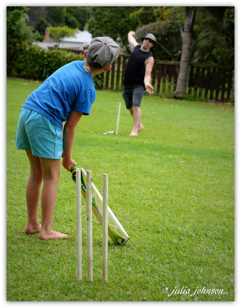 Backyard Cricket... by julzmaioro