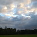 Afternoon skies, Magnolia Gardens, Charleston, SC by congaree