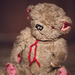 Teddy by kiwichick