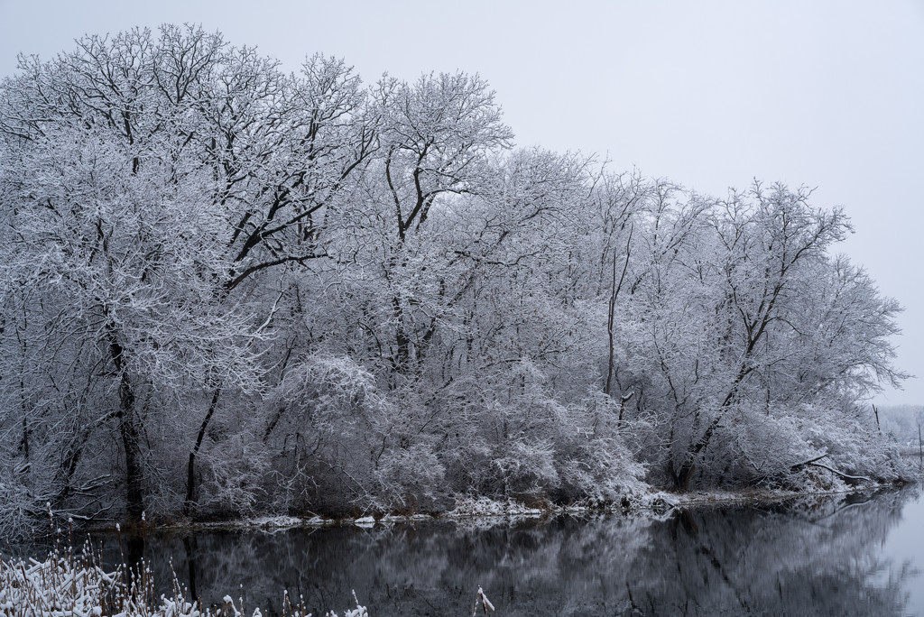 Winter Wonderland Lake Shore by rminer