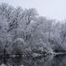 Winter Wonderland Lake Shore by rminer