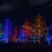 Vitruvian Park Lights by lynne5477