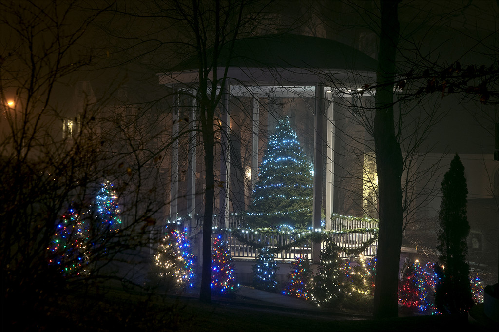 Lunenburg Christmas by Weezilou