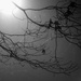 My foggy night by novab