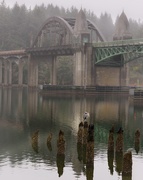2nd Dec 2015 - Heron In Front Of the Bridge 
