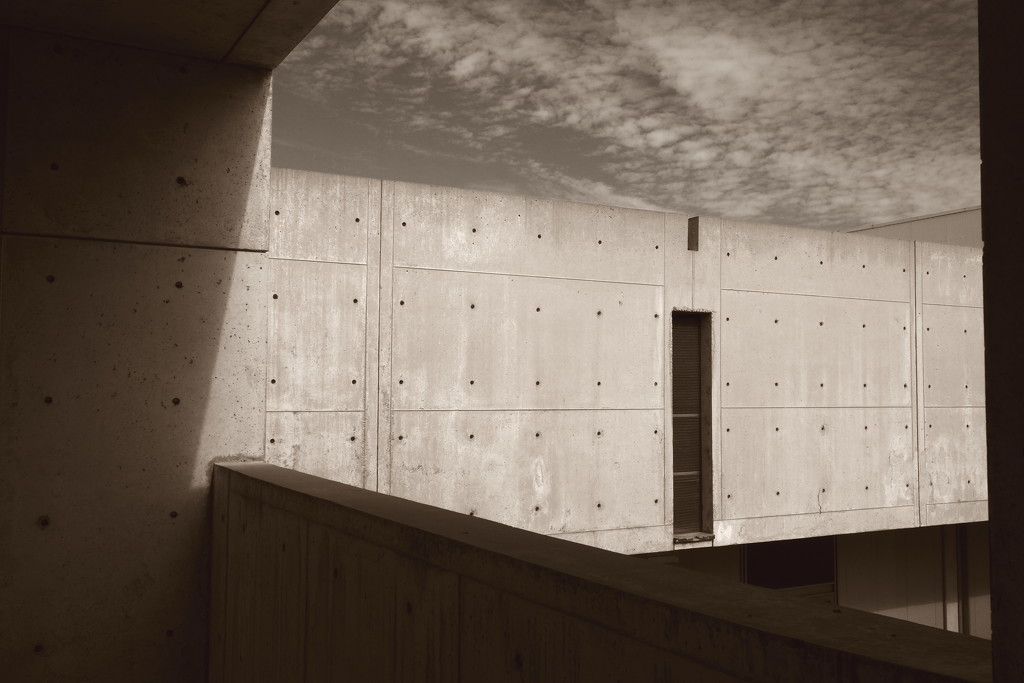 salk in sepia by blueberry1222