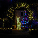 Christmas lights by barrowlane