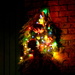 Christmas lights by bruni