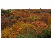 28th Oct 2015 - Fall At Starved Rock