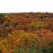 Fall At Starved Rock by randy23