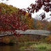 Bridge In The Fall by randy23