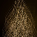 Dizzy Christmas Tree by epcello