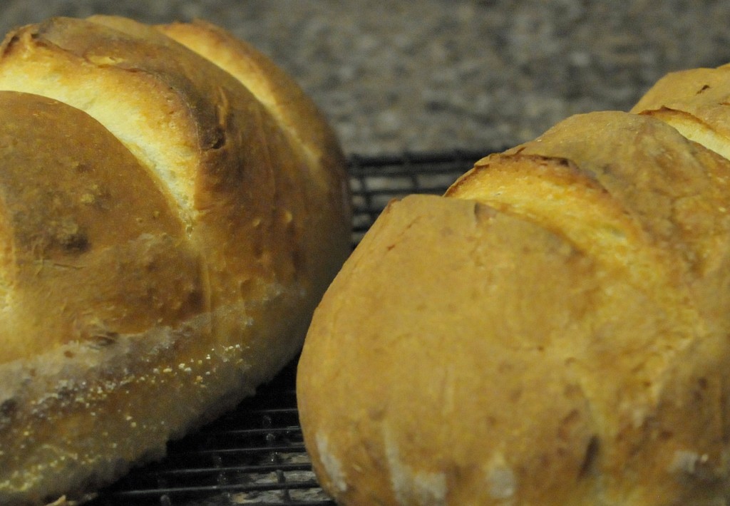 Fresh Bread by kathyrose