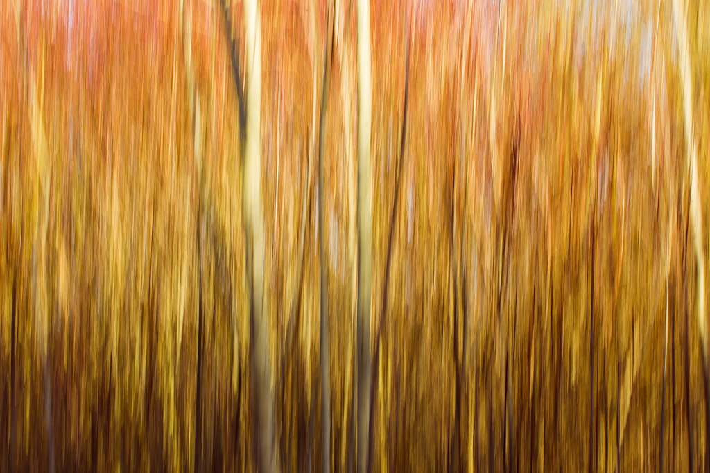4th  December 2015    - ICM by pamknowler