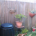 Panorama of My Garden by mozette