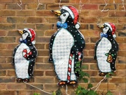 30th Nov 2015 - The Three Wise Penguins