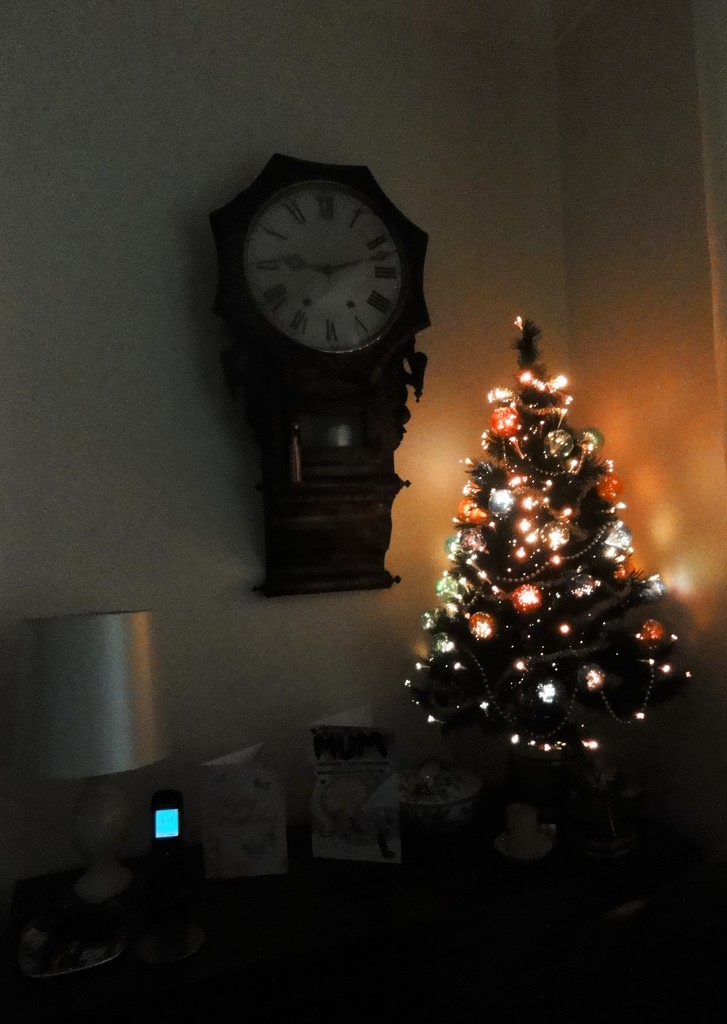 Ooh Christmas TREE !!  by beryl