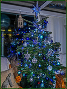 5th Dec 2015 - Our Christmas Tree