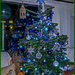 Our Christmas Tree by carolmw