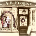 Ye Olde Florist by stuart46