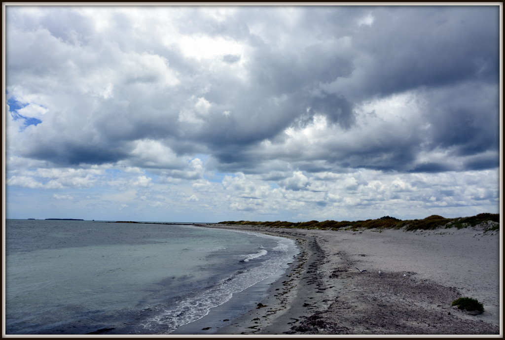 Not Really A Day For The Beach  _DSC7447 by merrelyn