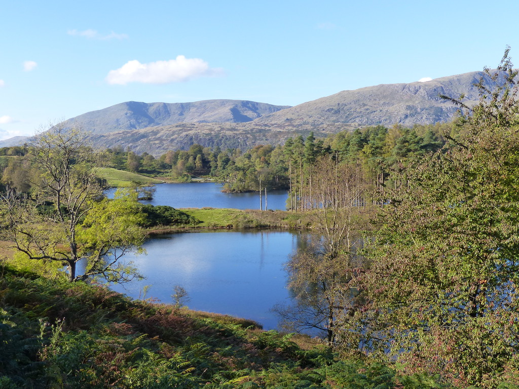  Tarn Hows, Lake District by susiemc