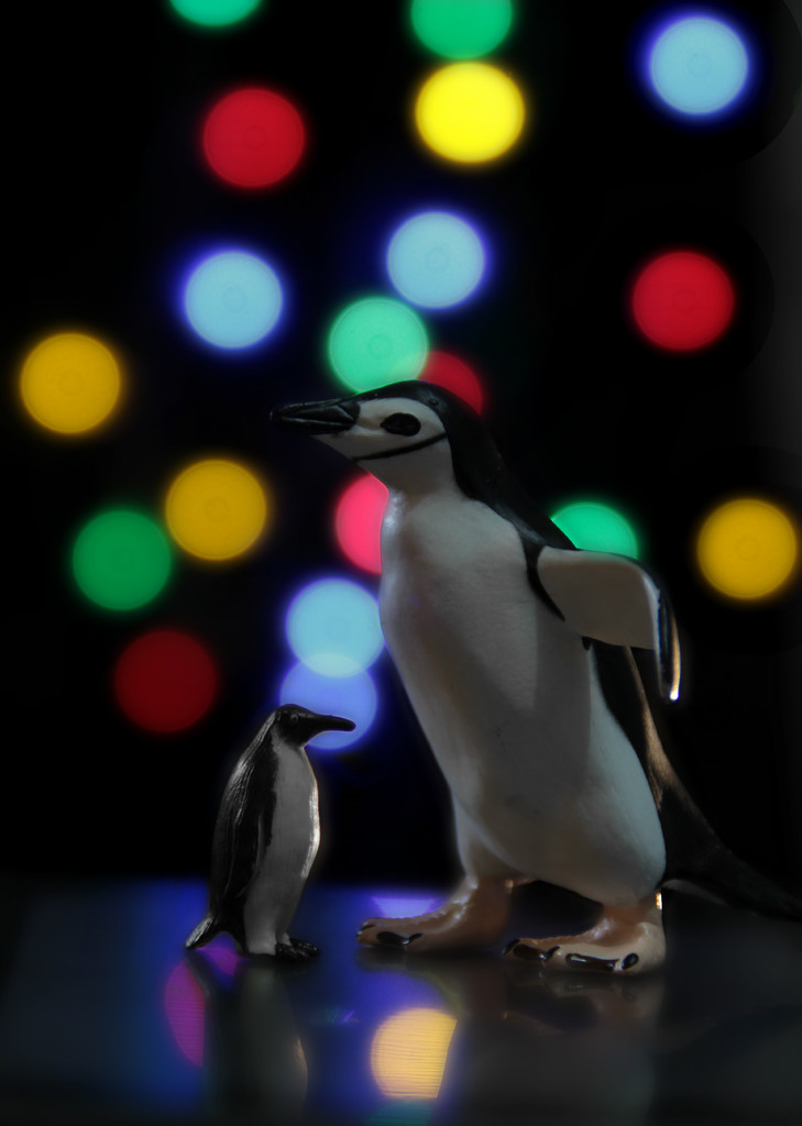 large penguin, little penguin by summerfield