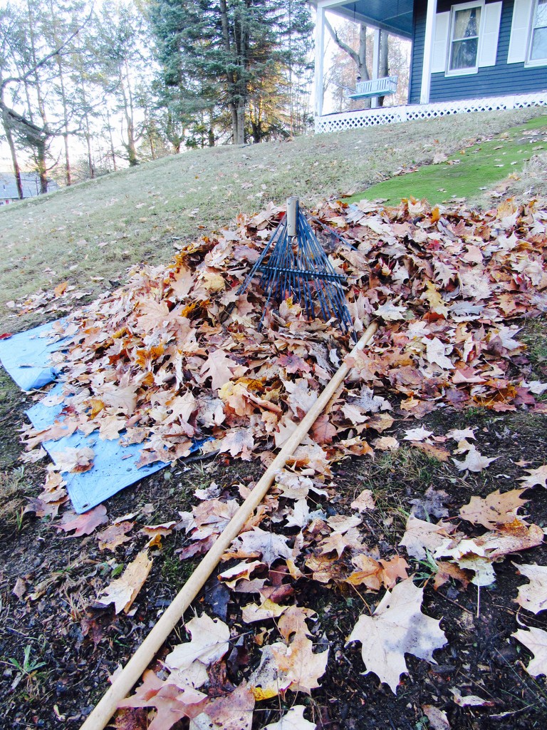 Done With Raking by hbdaly