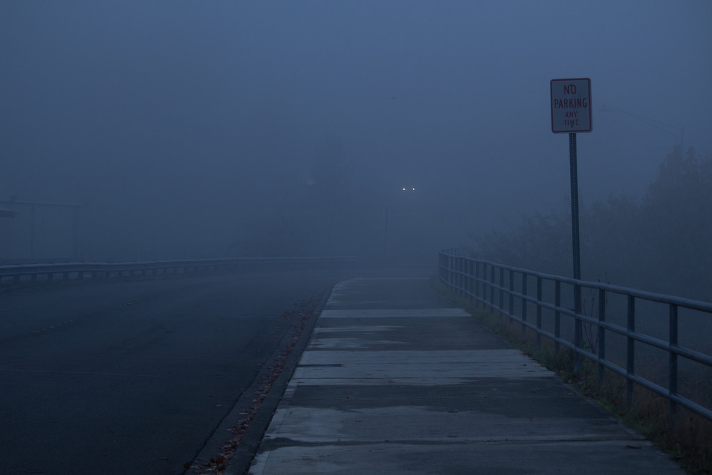 Foggy Drive by nanderson