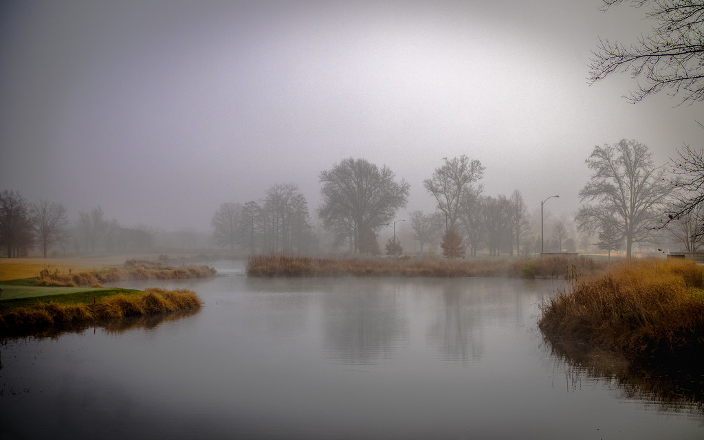Foggy Morning by rosiekerr