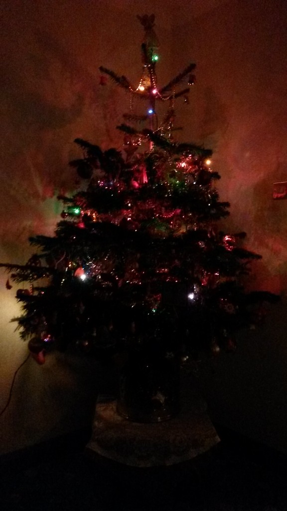 Christmas Tree  by sarah19