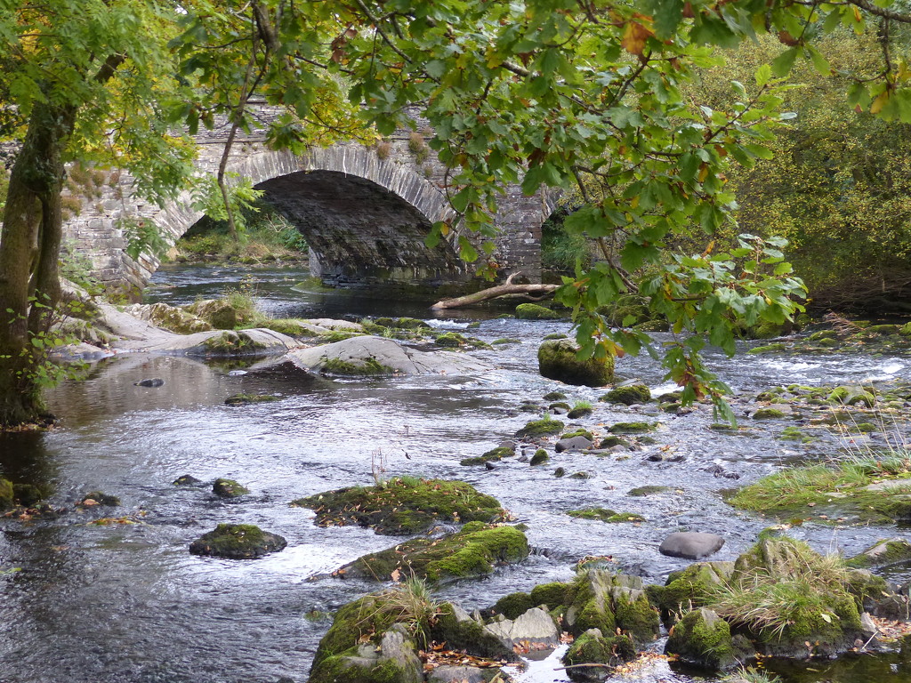  Langdale Beck at Skelwith Bridge  by susiemc